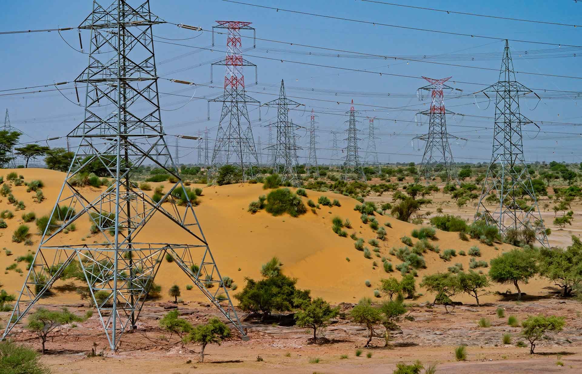 Radheshyam advocating for power line safety measures to prevent bird electrocutions