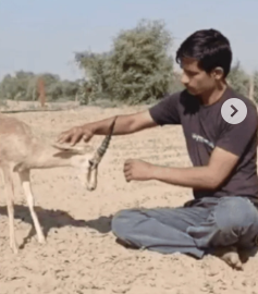 Radheshyam filling one of his 100+ desert water reservoirs that saved countless animals from dehydration in the harsh Thar Desert environment