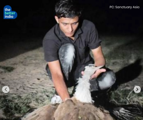 Radheshyam during a media interview about his Great Indian Bustard conservation work and community-based approach to wildlife protection