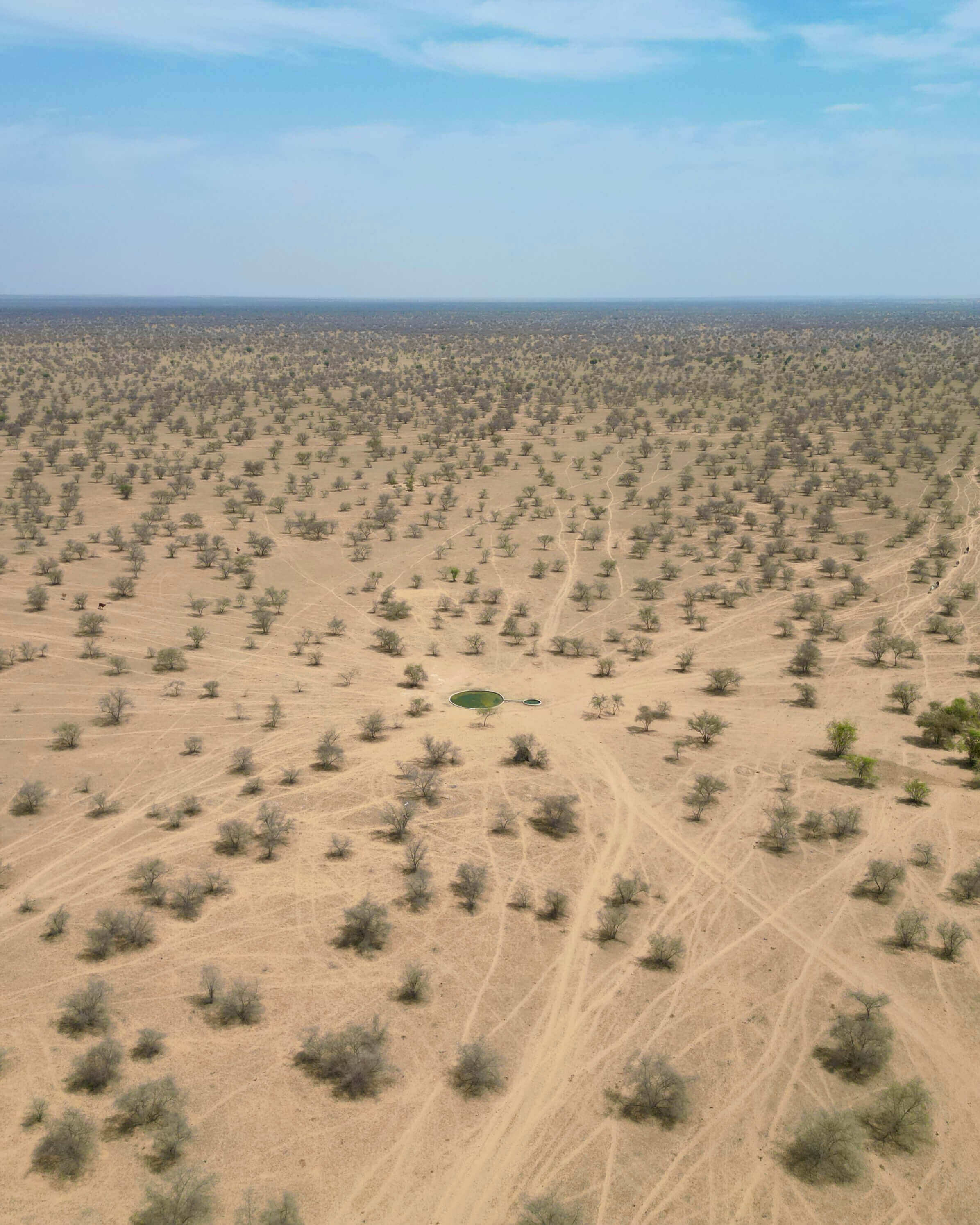 Aerial view of a water reservoir created by Radheshyam with wildlife gathering around it